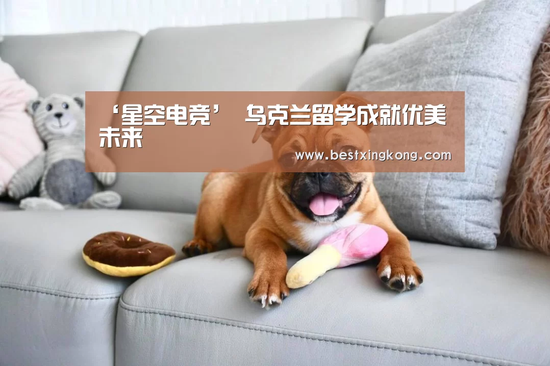 星空下载