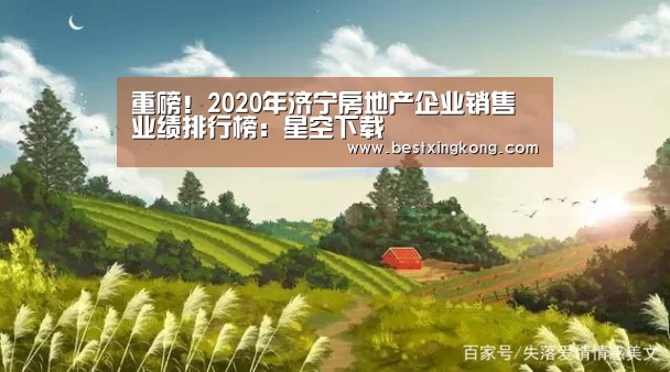 重磅!2020年济宁房地产企业销售业绩排行榜:星空下载(图3) 星空真人