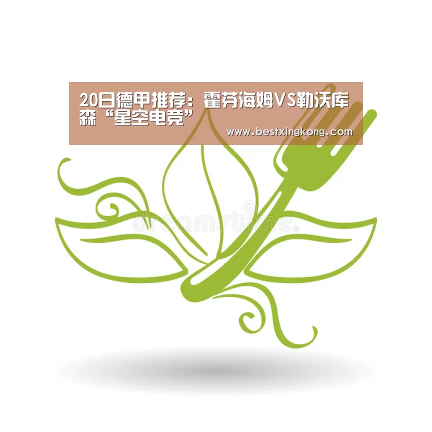 20日德甲推荐:霍芬海姆VS勒沃库森“星空电竞”(图2) 星空下载