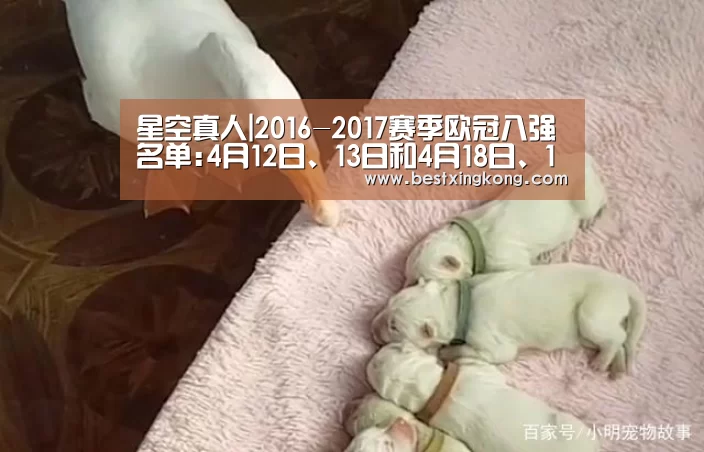 星空直播