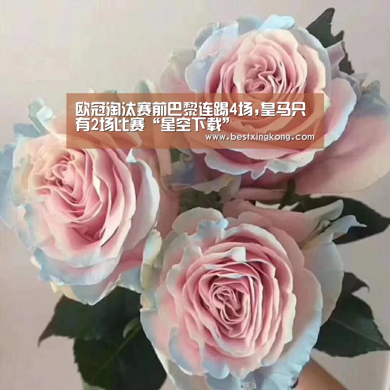 欧冠淘汰赛前巴黎连踢4场,皇马只有2场比赛“星空下载”(图1) 星空电竞