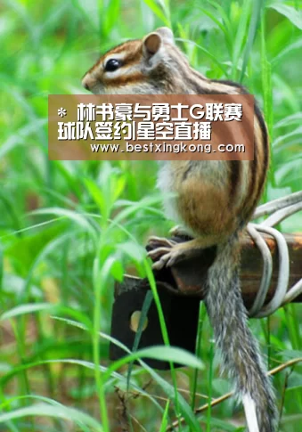 *
林书豪与勇士G联赛球队签约|星空直播(图2) 星空真人